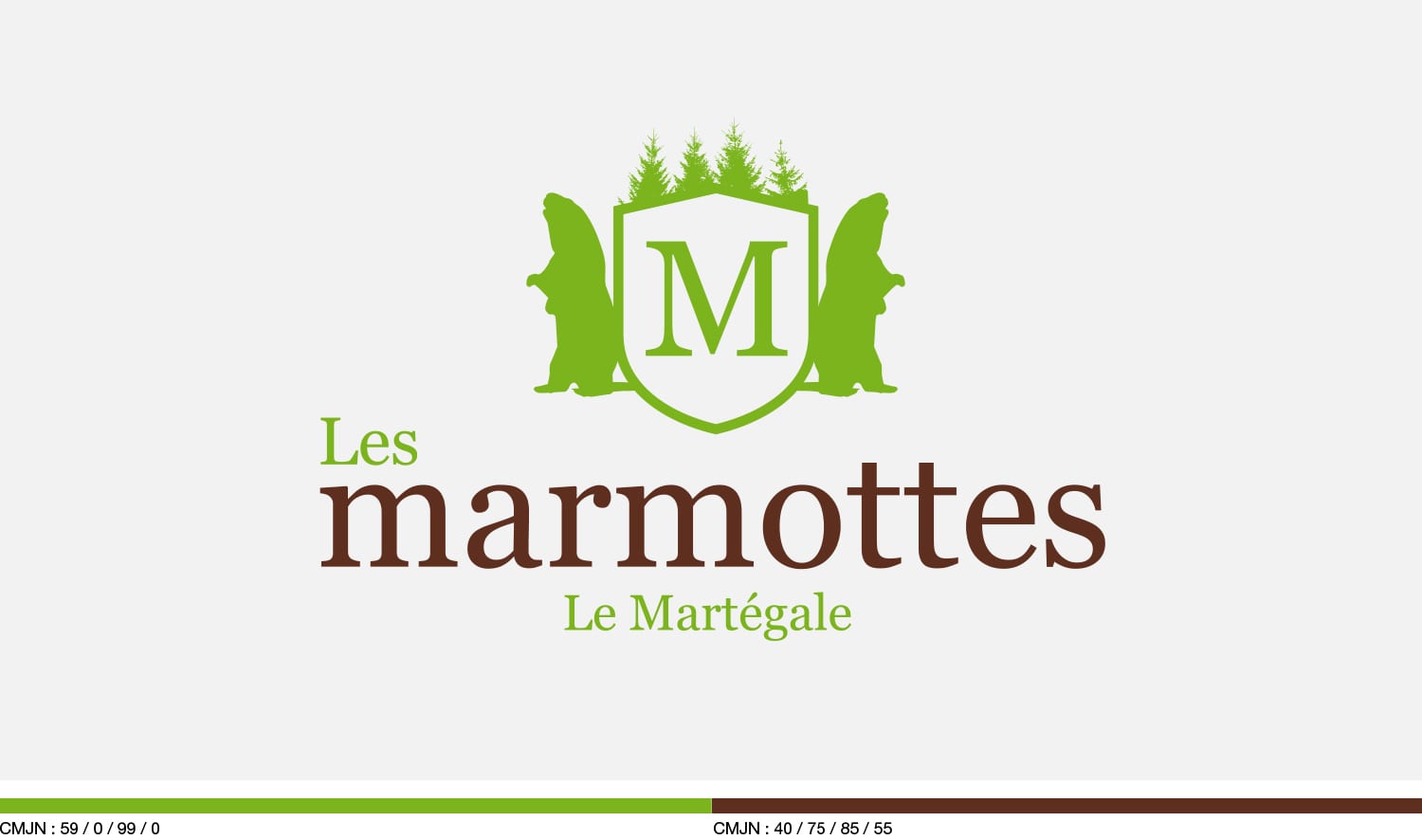 charte graphique logo