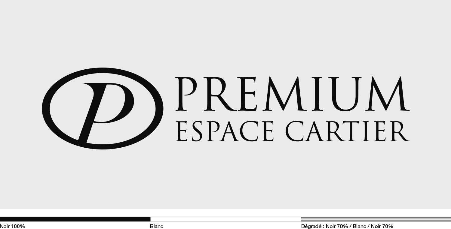 charte graphique logo