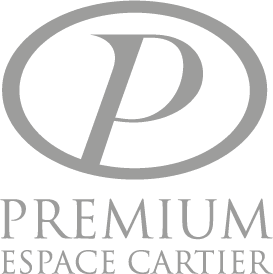 conception logo premium conception logo premium