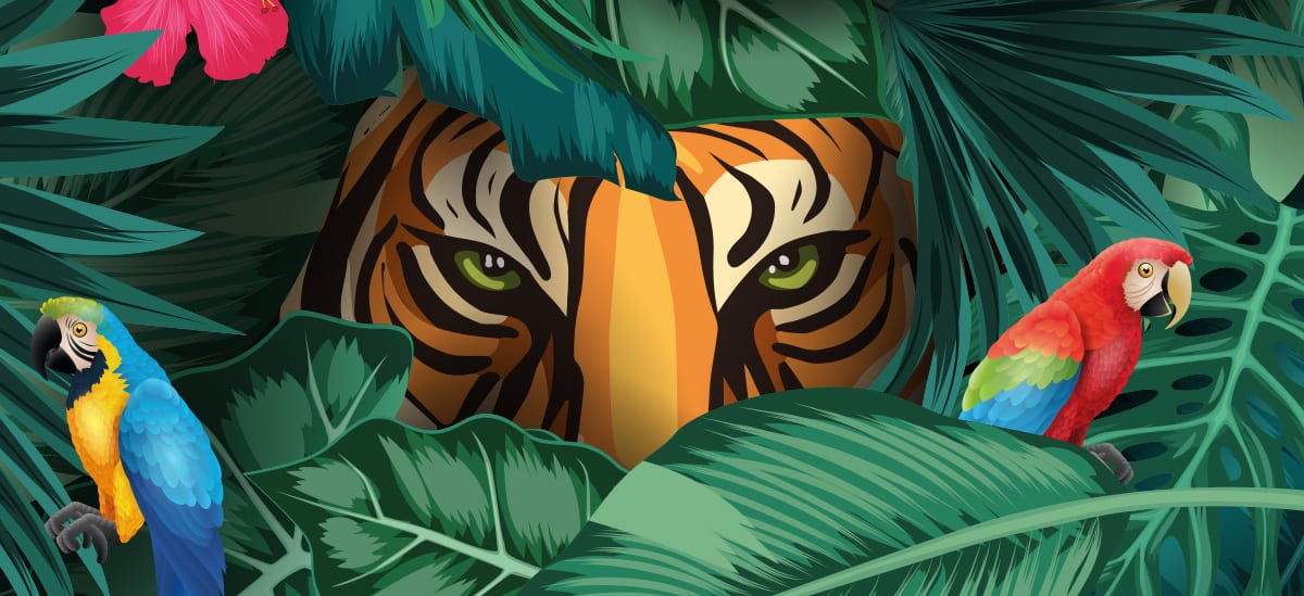 Illustration affiche